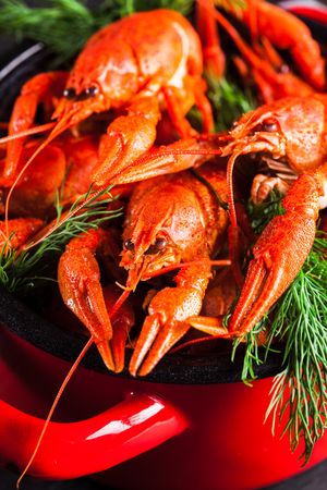 Group of red boiled crayfish with herbs on slate dark backgroundの写真素材