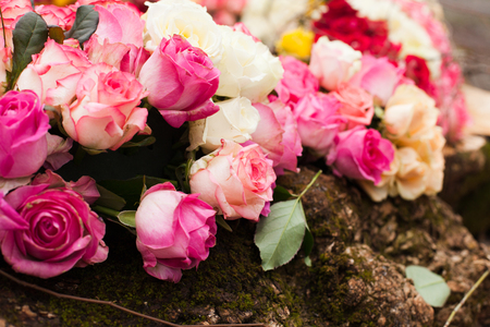 Beige and pink roses background, pattern for wedding designの写真素材