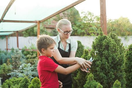 Florist teaches teenage boy how to trim bushes in the greenhouseの写真素材