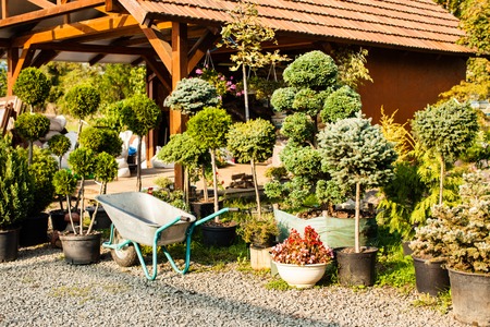 Wheelbarrow and sunlight outdoor