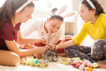 Girlfriends playing with  rabbitの写真素材