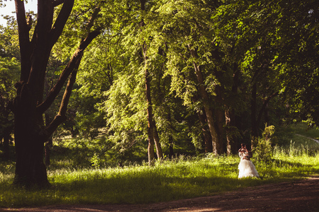 Happy wedding coupleの写真素材