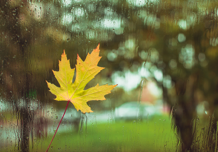 The view from the window on a rainy dayの写真素材