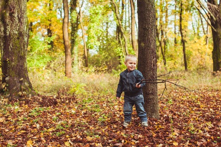 Little boy walking in autumn forestの写真素材