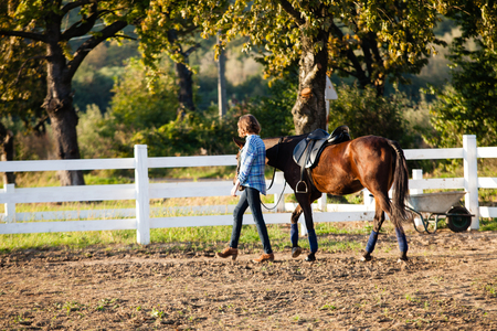 Beautiful girl with horseの写真素材