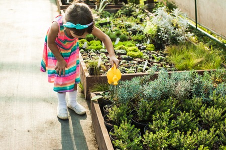 Pretty little floristの写真素材