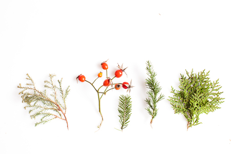 minimalistic Reindeer Faceの写真素材