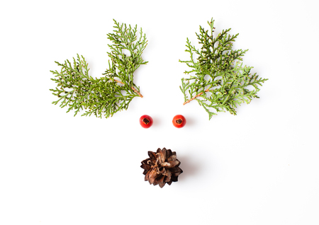 minimalistic Reindeer Faceの写真素材