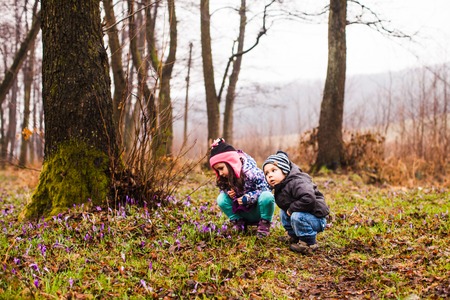 Children admire of the spring flowersの写真素材