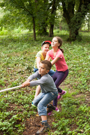 Tug-of-war in park