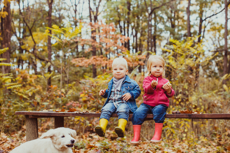 Babies and doggy in the autumn parkの写真素材