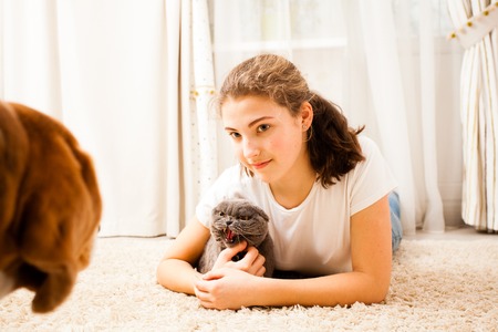 the cat does not allow the dog to approach the ownerの写真素材