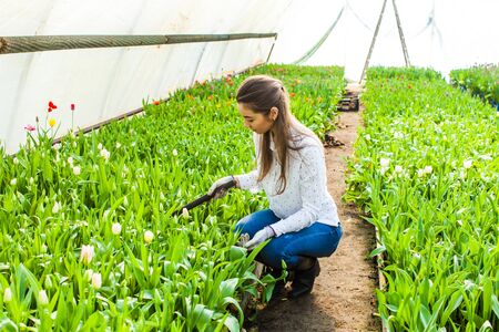 Gardener woman planting flowers