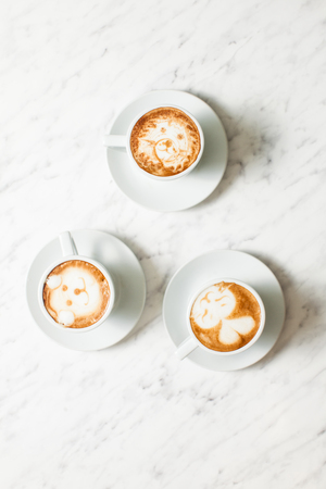 Cappuchino in the zooの写真素材