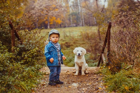 Walk with a dog in the parkの写真素材
