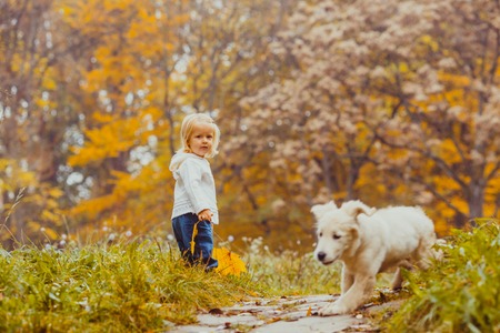 The amazing trip on the autumn dayの写真素材