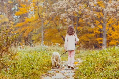 The girl and her golden retriever dogの写真素材