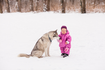Little baby with Husky dogの写真素材