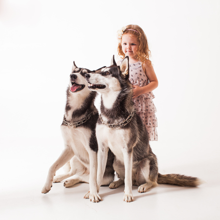 Girl and two dogs husky isolated on whiteの写真素材