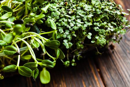 Micro greens variety in boxes on wooden table. Assortment of healthy eating and organic restaurant...