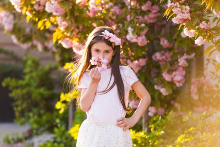 Spring portrait, adorable little girl walk in blossom sakura tree gardenの写真素材