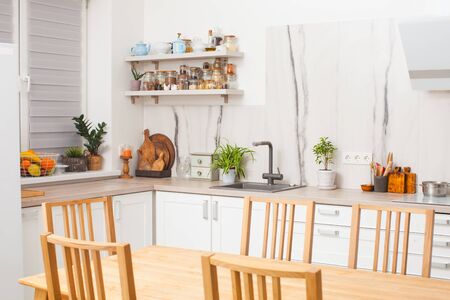 Modern and design scandinavian kitchen with plantsの写真素材