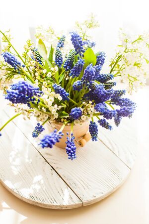 Bunch of grape hyacinths in a ceramic vaseの写真素材