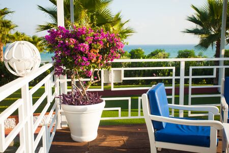 Terrace with sea view, vivid summer dayの写真素材