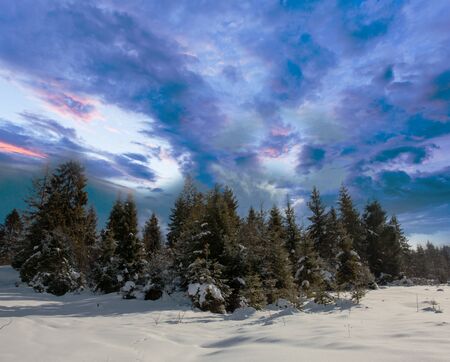 Winter landscape on a sunset. Evening in Mountains Carpathians, Ukraine