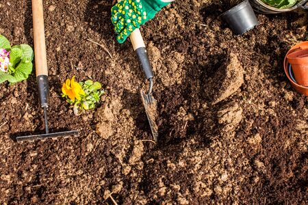 Macro flat-lay of brown loose fertile soil with small size garden tools on it. Photo of ground without plants early in springの写真素材