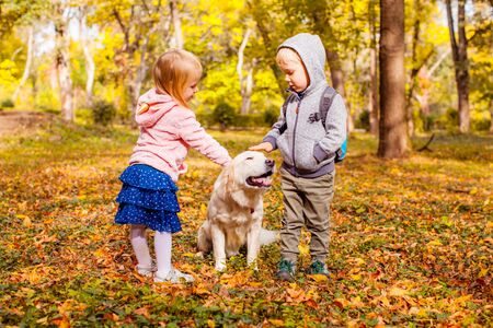 Happy kids playing and stroking their dog in autumn forestの写真素材