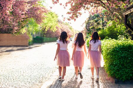 Group of girlfriends walking city street in springtime while sakura tree is blooming, back view. Women fashion.の写真素材