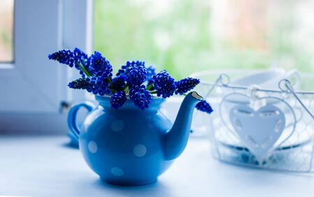 Still life on the windowsill, morning in the kitchenの写真素材