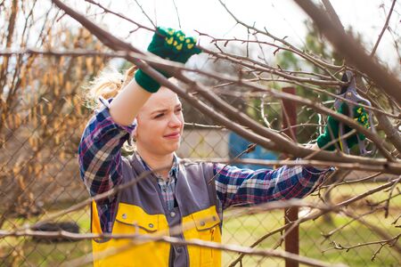 Professional female gardener pruning a fruit tree in the garden in early spring.