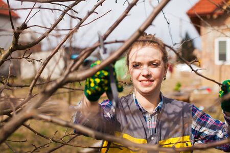 Young woman pruning trees with pruning shears in the garden.の写真素材