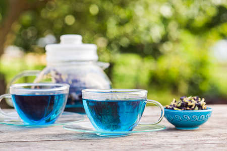 Two transparent cups of blue tea, a small plate with dried Butterfly pea flower and a teapot in the background stand on a wooden tableの写真素材