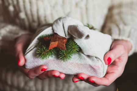 The woman is holding a christmas present made in japanese styleの写真素材
