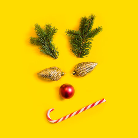 Sarcastic face arranged from Christmas related itemsの写真素材