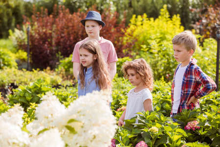Children are learning planting and seedling outdoorsの写真素材
