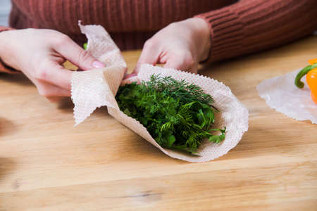 Female wrapping green dill and parsley into beeswax wrapsの写真素材