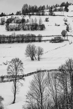 the winter rural landscape in the Carpathian mountains