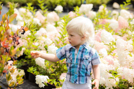 Cute blonde boy outdoor at botanical gardenの写真素材