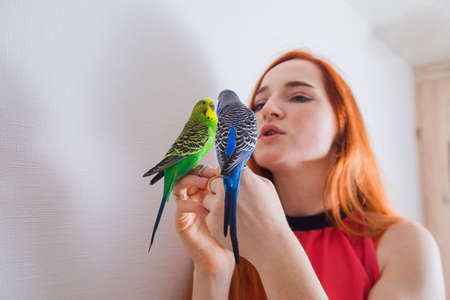 The beautiful woman admires her beautiful parrotsの写真素材