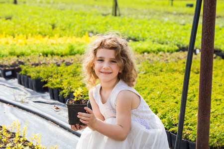 Little girl choosing plant in pot for her mother