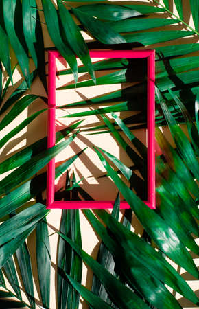Summer exotic mock-up of palm leaves and frameの写真素材