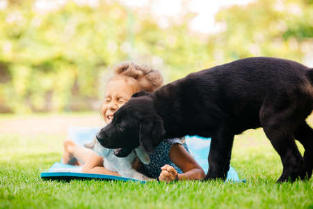Cute preschool girl play with pets on fresh grassの写真素材