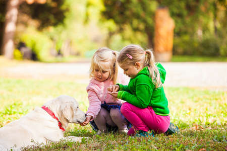 two little girls worry about their favorite dogの写真素材