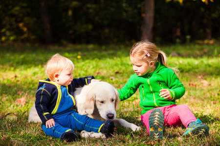 The little brother and sister walk with their dogの写真素材