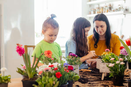 Mother teaches kids to take care of flowers and plantsの写真素材