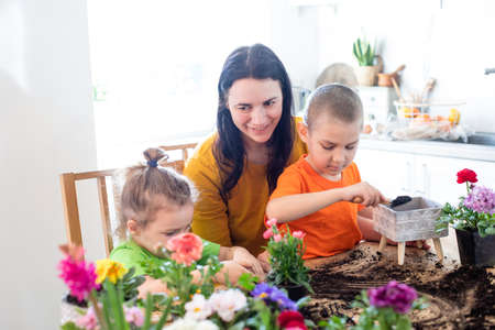 Patience is important feature while teaching kids at homeの写真素材